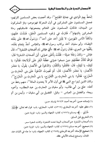 الأغصان الندية في شرح السيرة النبوية