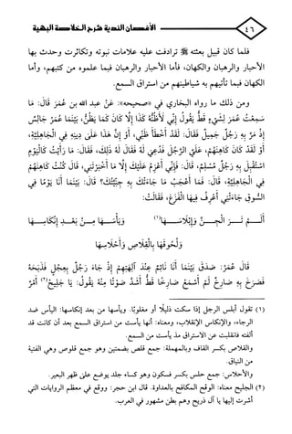 الأغصان الندية في شرح السيرة النبوية