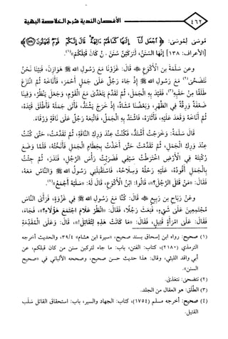 الأغصان الندية في شرح السيرة النبوية