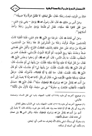 الأغصان الندية في شرح السيرة النبوية