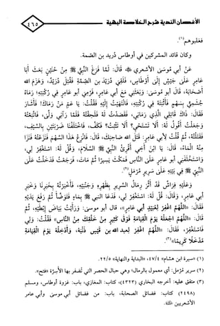 الأغصان الندية في شرح السيرة النبوية