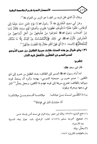 الأغصان الندية في شرح السيرة النبوية