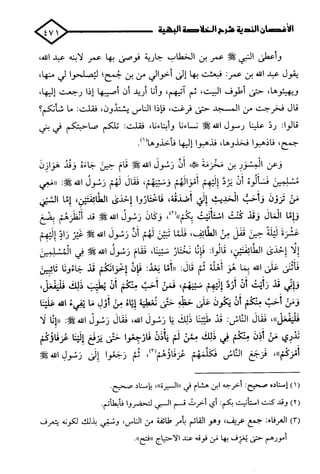 الأغصان الندية في شرح السيرة النبوية