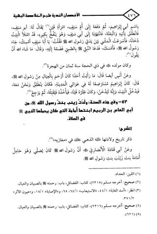 الأغصان الندية في شرح السيرة النبوية