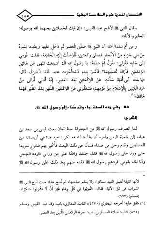 الأغصان الندية في شرح السيرة النبوية