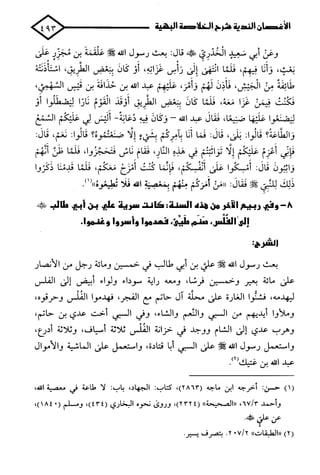 الأغصان الندية في شرح السيرة النبوية