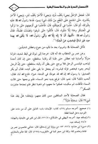 الأغصان الندية في شرح السيرة النبوية