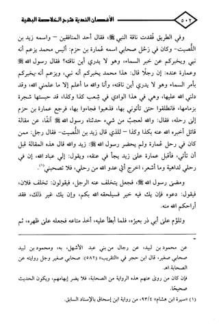 الأغصان الندية في شرح السيرة النبوية