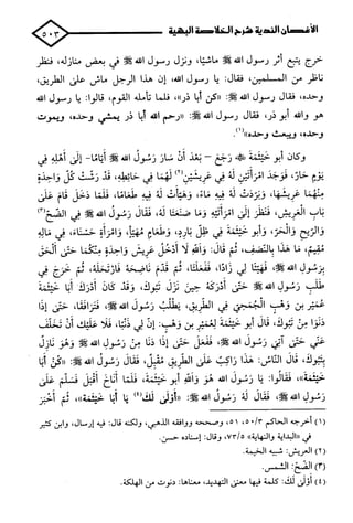 الأغصان الندية في شرح السيرة النبوية