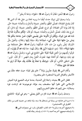 الأغصان الندية في شرح السيرة النبوية