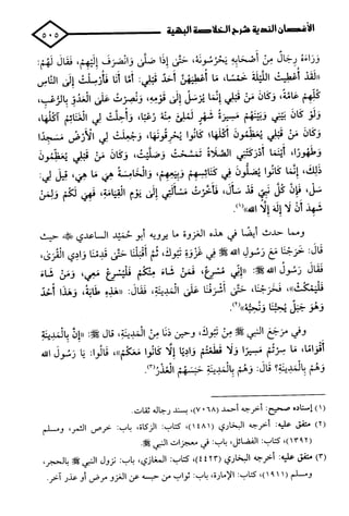 الأغصان الندية في شرح السيرة النبوية