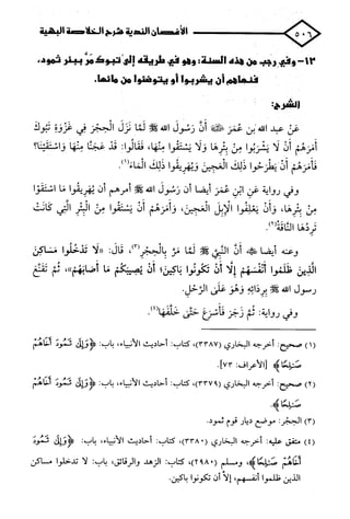 الأغصان الندية في شرح السيرة النبوية