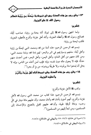 الأغصان الندية في شرح السيرة النبوية