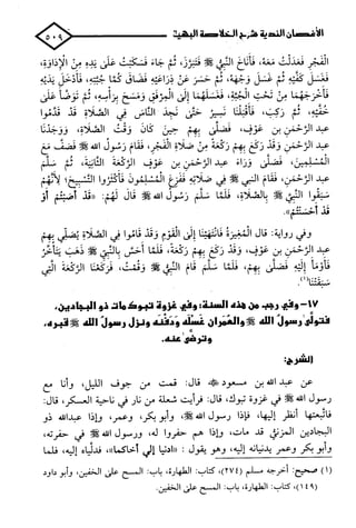 الأغصان الندية في شرح السيرة النبوية