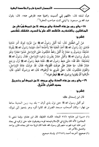 الأغصان الندية في شرح السيرة النبوية