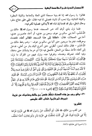 الأغصان الندية في شرح السيرة النبوية