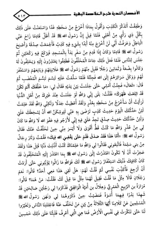 الأغصان الندية في شرح السيرة النبوية