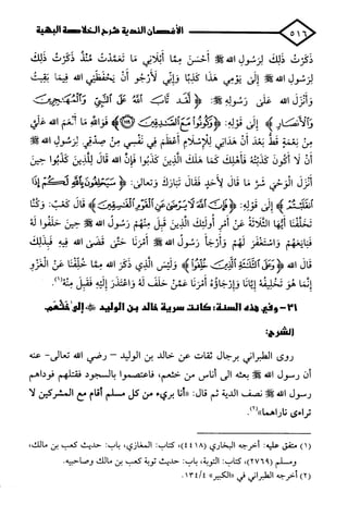 الأغصان الندية في شرح السيرة النبوية