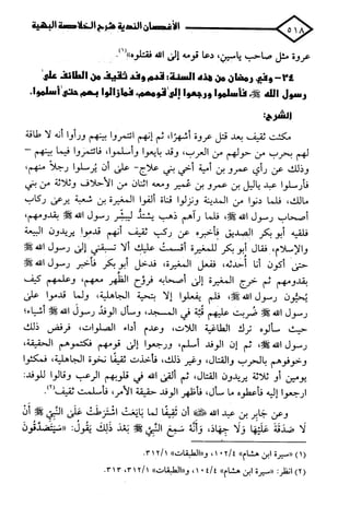 الأغصان الندية في شرح السيرة النبوية