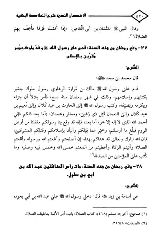 الأغصان الندية في شرح السيرة النبوية