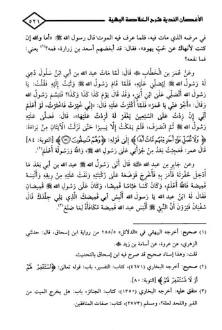 الأغصان الندية في شرح السيرة النبوية