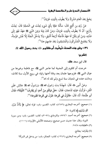 الأغصان الندية في شرح السيرة النبوية