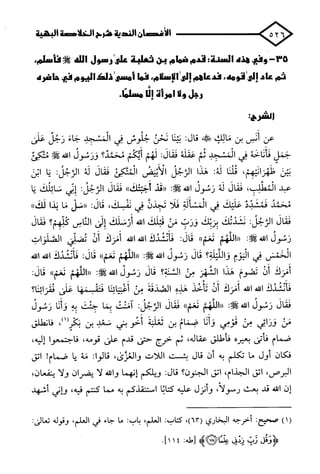 الأغصان الندية في شرح السيرة النبوية