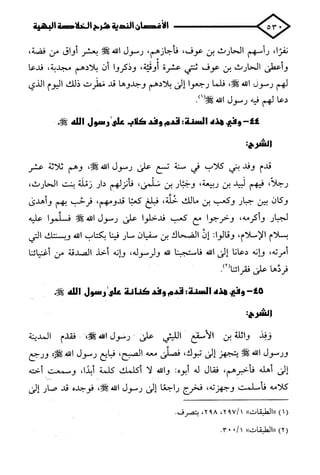 الأغصان الندية في شرح السيرة النبوية