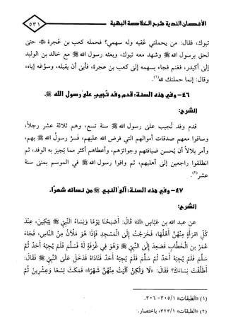 الأغصان الندية في شرح السيرة النبوية