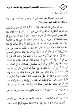 الأغصان الندية في شرح السيرة النبوية