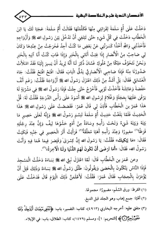 الأغصان الندية في شرح السيرة النبوية