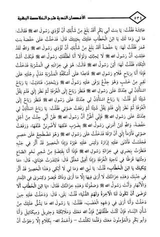 الأغصان الندية في شرح السيرة النبوية