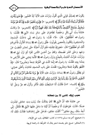 الأغصان الندية في شرح السيرة النبوية