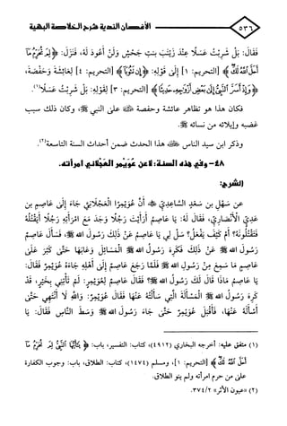 الأغصان الندية في شرح السيرة النبوية