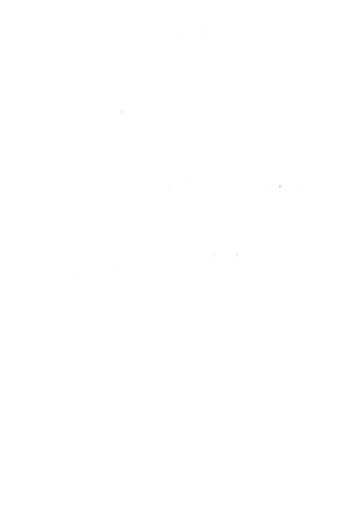 الأغصان الندية في شرح السيرة النبوية