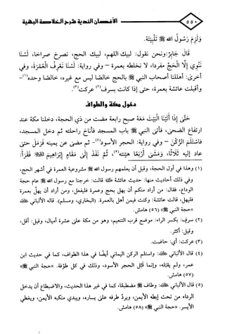 الأغصان الندية في شرح السيرة النبوية