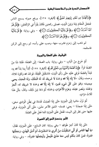 الأغصان الندية في شرح السيرة النبوية