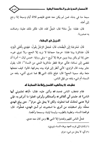 الأغصان الندية في شرح السيرة النبوية