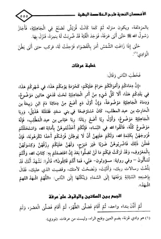 الأغصان الندية في شرح السيرة النبوية