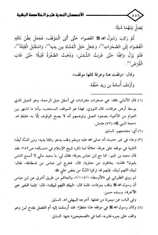 الأغصان الندية في شرح السيرة النبوية