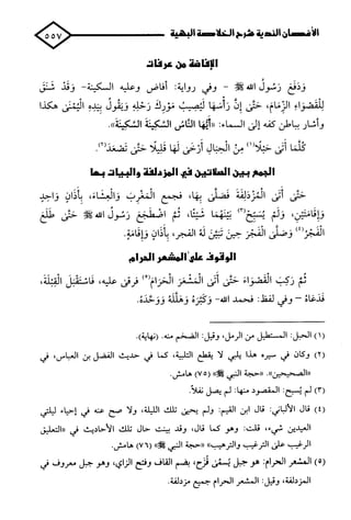 الأغصان الندية في شرح السيرة النبوية