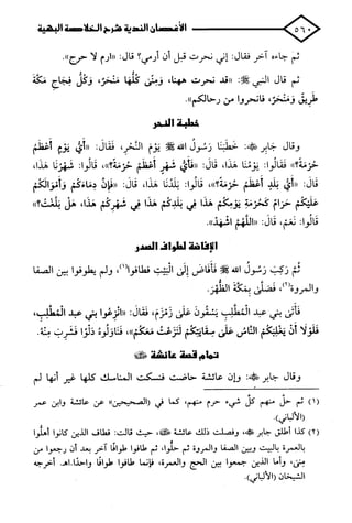 الأغصان الندية في شرح السيرة النبوية