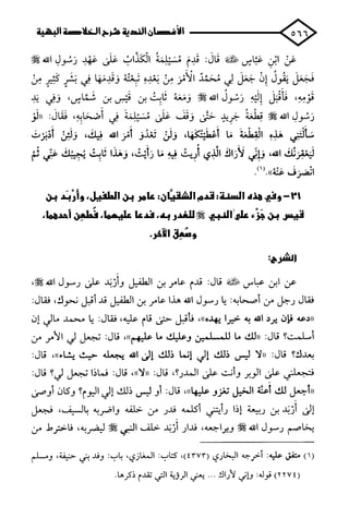 الأغصان الندية في شرح السيرة النبوية