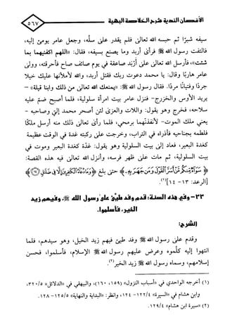 الأغصان الندية في شرح السيرة النبوية