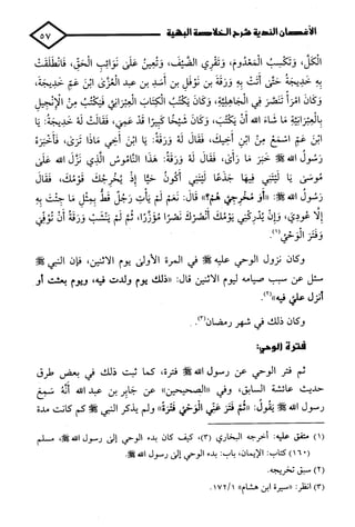 الأغصان الندية في شرح السيرة النبوية