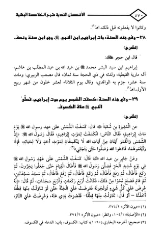 الأغصان الندية في شرح السيرة النبوية