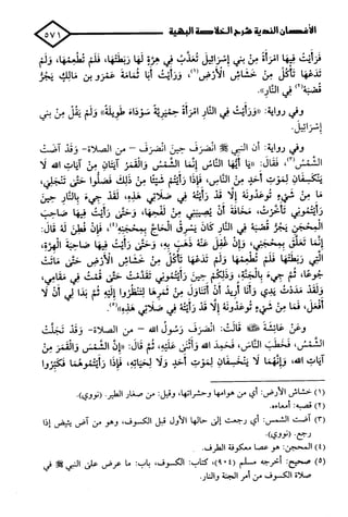 الأغصان الندية في شرح السيرة النبوية