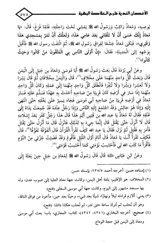 الأغصان الندية في شرح السيرة النبوية