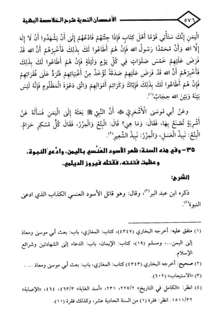 الأغصان الندية في شرح السيرة النبوية