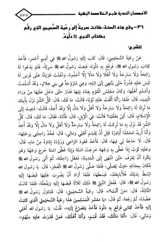 الأغصان الندية في شرح السيرة النبوية